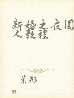 新婚之夜圆房真人教程