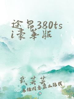 途昂380tsi豪华版