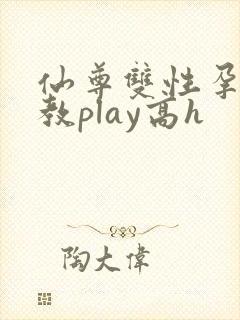 仙尊双性孕夫调教play高h