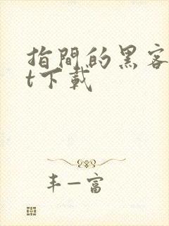 指间的黑客txt下载