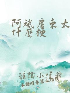 阿斌房东太太是什么梗