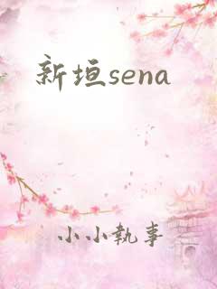 新垣sena