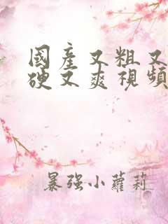 国产又粗又黄又硬又爽视频