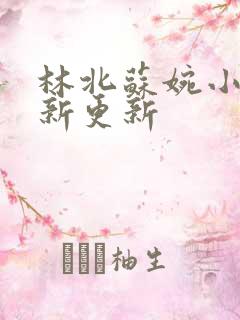 林北苏婉小说最新更新
