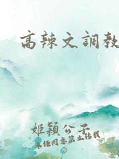 高辣文调教文