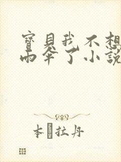 宝贝我不想带小雨伞了小说