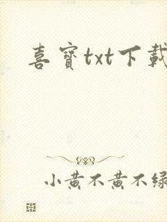 喜宝txt下载