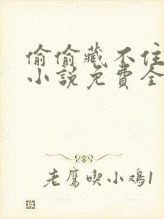 偷偷藏不住竹已小说免费全文阅读