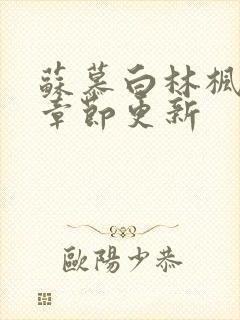 苏慕白林枫最新章节更新