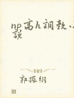 np高h调教小说