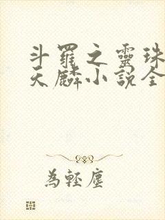 斗罗之灵珠神剑天麟小说全文免费阅读下载