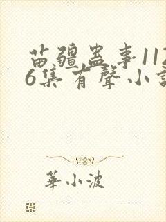 苗疆蛊事1126集有声小说在线听