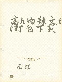 高h肉辣文txt打包下载