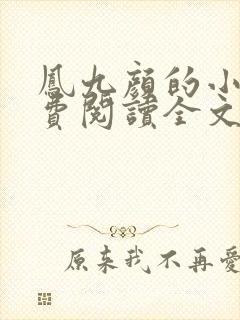 凤九颜的小说免费阅读全文无弹窗