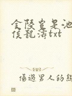 金陵岂是池中物侯龙涛txt