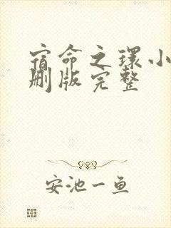 宿命之环小说未删版完整