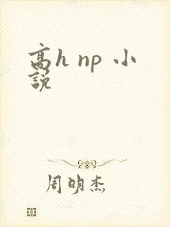 高h np 小说