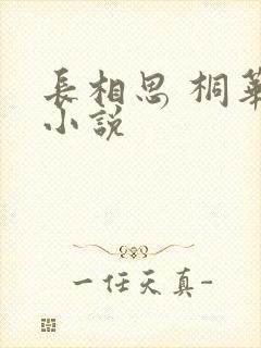 长相思 桐华 小说