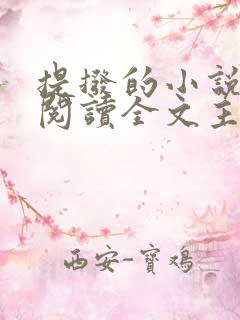 提拨的小说免费阅读全文主角重生