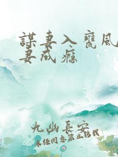 谋妻入瓮风少宠妻成瘾