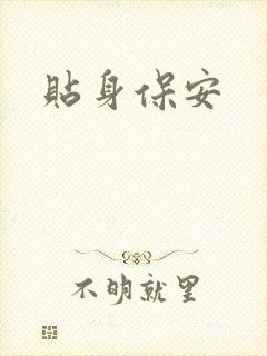 贴身保安