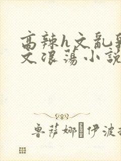 高辣h文乱乳h文浪荡小说苏卿