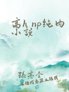 高h np纯肉小说