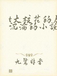 t大校花的屈辱沉沦的小说