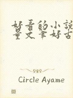 好看的小说高质量文笔好古言