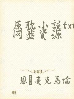 原耽小说txt网盘资源