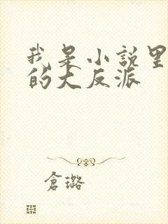 我是小说里共同的大反派