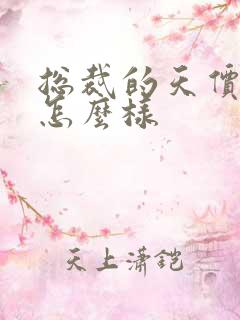 总裁的天价前妻怎么样