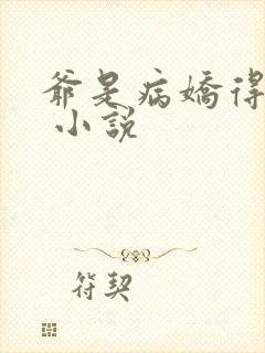 爷是病娇得宠着 小说