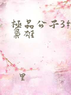 极品公子3续世枭雄