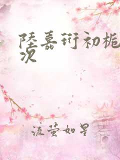 陆嘉珩初栀第一次