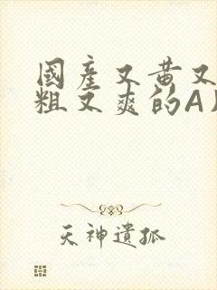 国产又黄又猛又粗又爽的A片小说