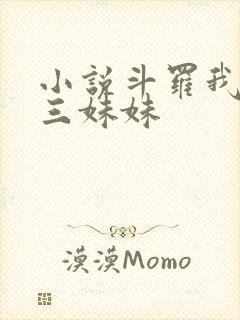 小说斗罗我是唐三妹妹
