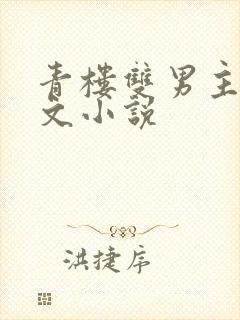 青楼双男主训诫文小说