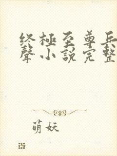 终极至尊兵王有声小说完整