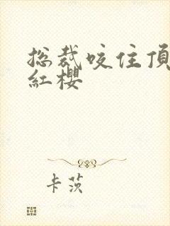 总裁咬住顶端的红樱