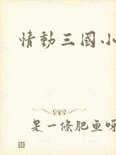 情动三国小说