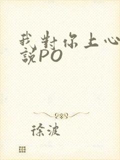 我对你上心了小说PO