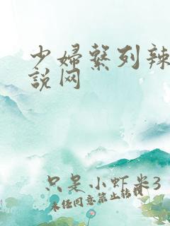 少妇系列辣文小说网