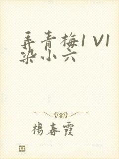 弄青梅1 V1染小六