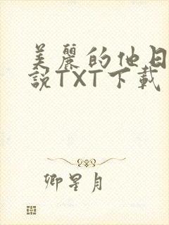 美丽的他日剧小说TXT下载