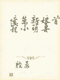 亿万新娘首席盛宠小萌妻