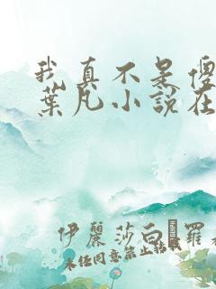 我真不是傻子了叶凡小说在线阅读