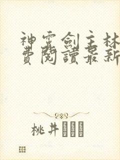 神霄剑主林枫免费阅读最新章节无弹窗