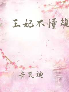 王妃不懂规矩