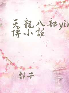 天龙八部yin传小说